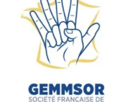 Société Française de Rééducation de la Main (SFRM GEMMSOR)